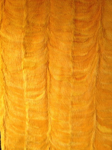 Yellow orange small paw mink plate #85