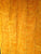 Yellow orange small paw mink plate #85